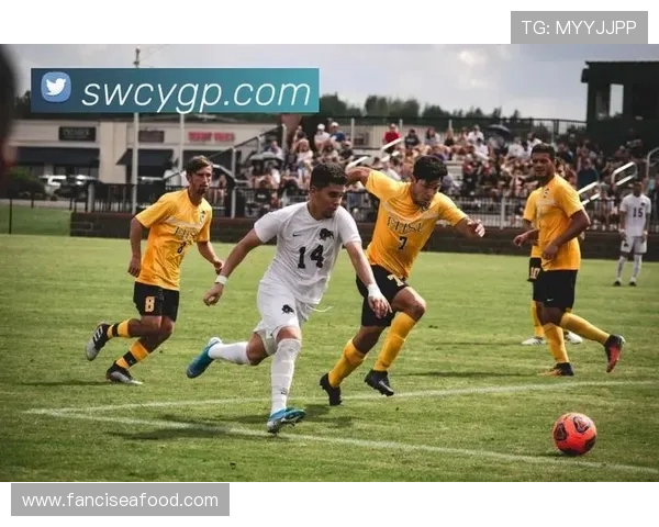 开云体育娱乐官网提供多样化的体育赛事直播和精彩赛事回放服务